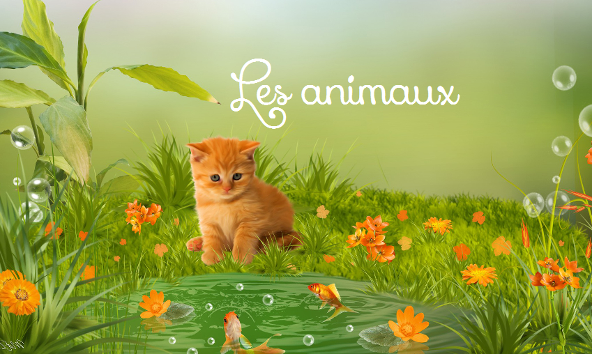 Animaux