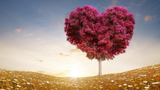 Arbre