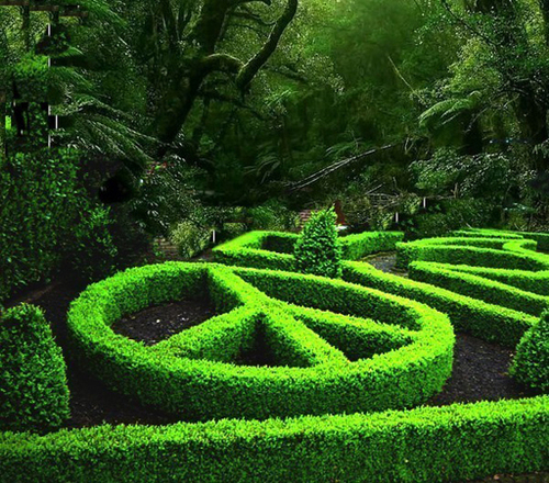 Green peace world peace 8146719 500 440