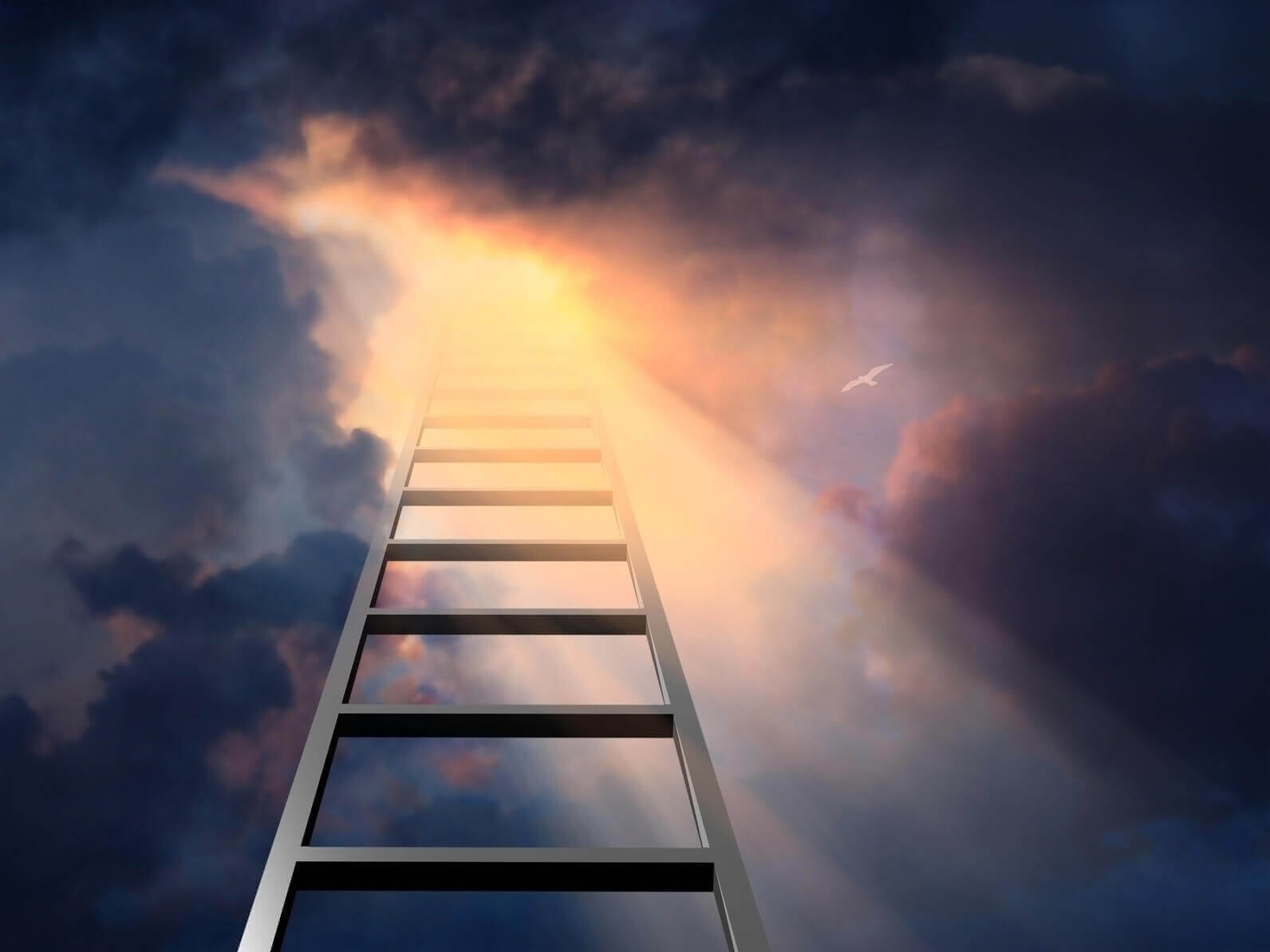 Ladder strong spiritual symbol