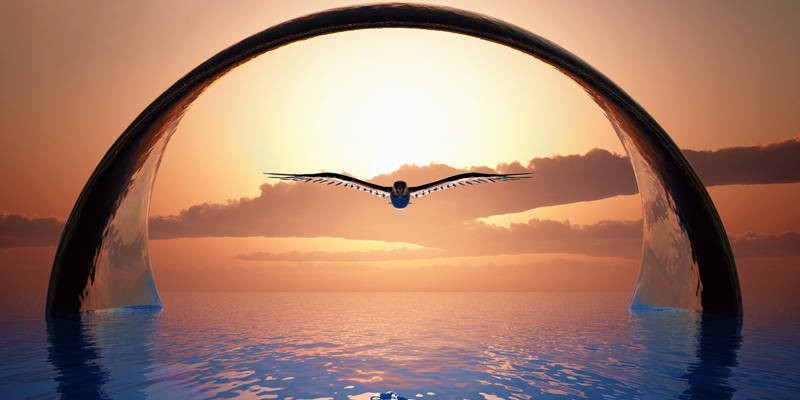 Soaring on wings of science and spirituality 800x400